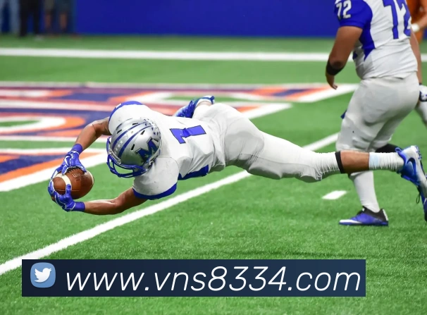 威尼斯人在线网站平台生态图