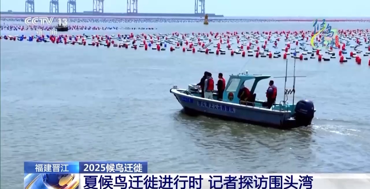 的明溪县 究竟有什么独特魅力？不朽情缘app在观鸟界火出圈(图4)