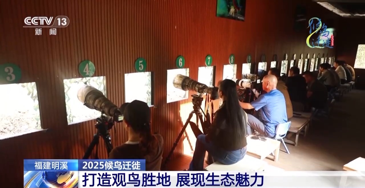 的明溪县 究竟有什么独特魅力？不朽情缘app在观鸟界火出圈(图3)