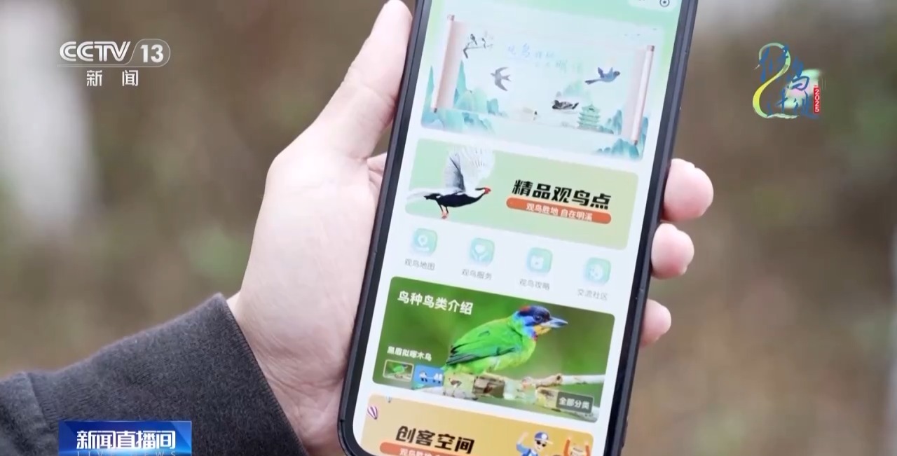 的明溪县 究竟有什么独特魅力？不朽情缘app在观鸟界火出圈(图13)