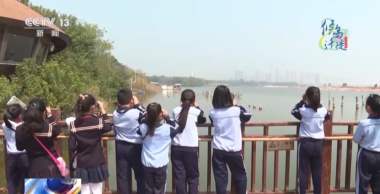 的明溪县 究竟有什么独特魅力？不朽情缘app在观鸟界火出圈(图16)