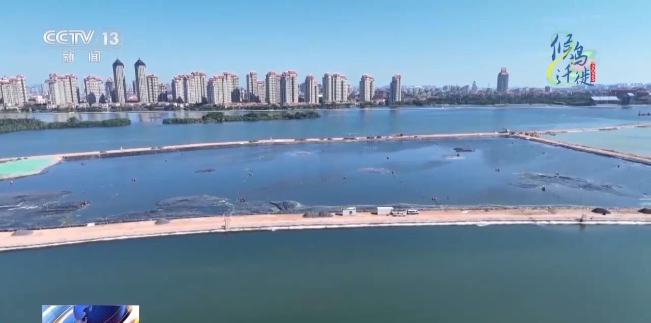 的明溪县 究竟有什么独特魅力？不朽情缘app在观鸟界火出圈(图14)